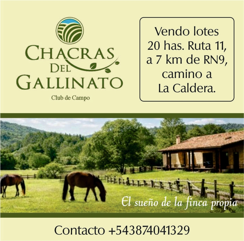 Imagen de publicación